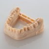 get3D - drukarki 3D, akcesoria i filamenty | Żywica dentystyczna BASF Ultracur3D DM 2505 Dental Model | BASF żywica dentystyczna
